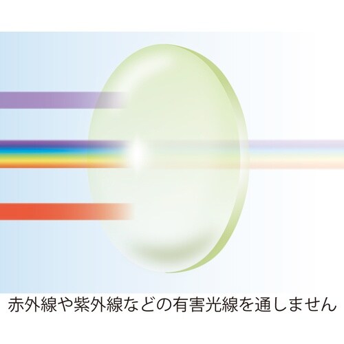 リケン 遮光めがね 複式上下自在型(#5)