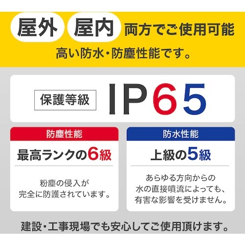 IRIS 521621 PROLEDS LEDクラ