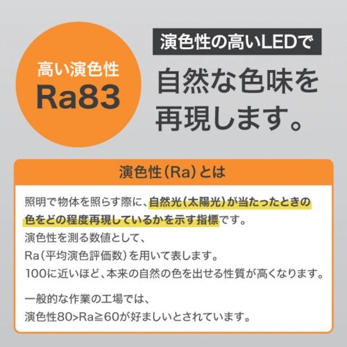 IRIS 521627 PROLEDS LEDスタ