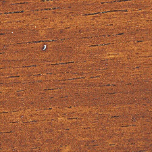 ニッぺ ガーデン木部用スプレー 300ml チーク