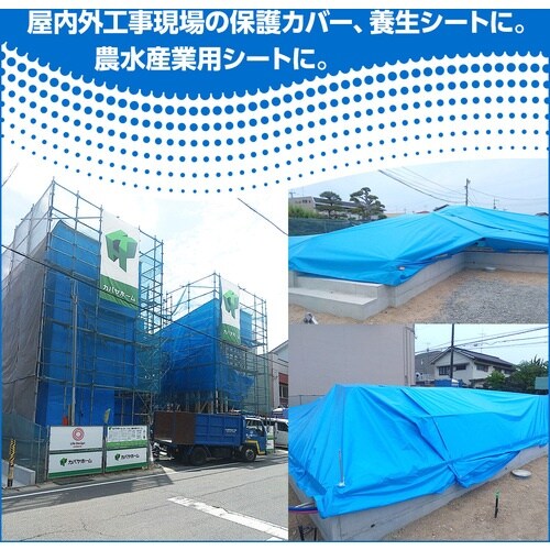 萩原 NEOシート(ブルーシート) #3000 7