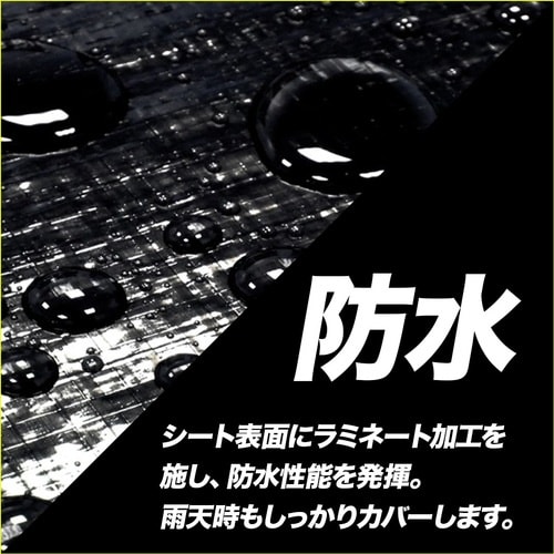 萩原 ブラックシート #2500 (HC用小畳)