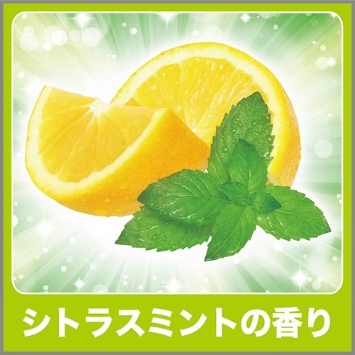 消臭力 生ゴミ用スプレー シトラスミント200ml