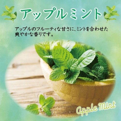 トイレの消臭力スプレーアップルミント365ml×3