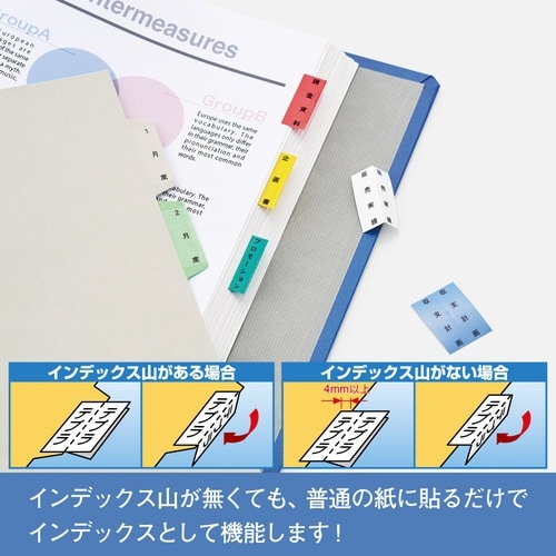 テプラ PROテープ インデックス透明つや消し黒字