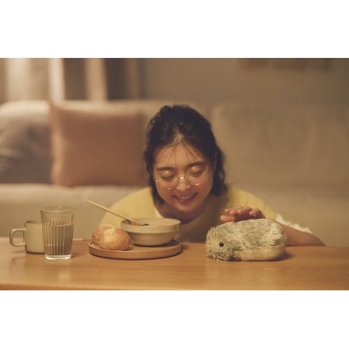 AIペットロボット Moflin(シルバー)