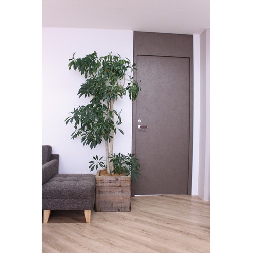 飲酒ふらつき体験メガネ