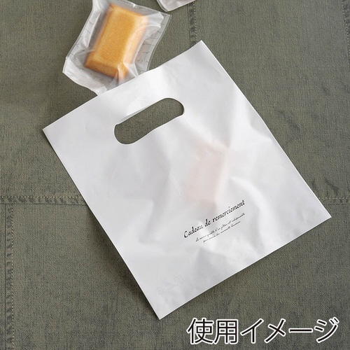 46439 ハンディバッグ スクリプトS