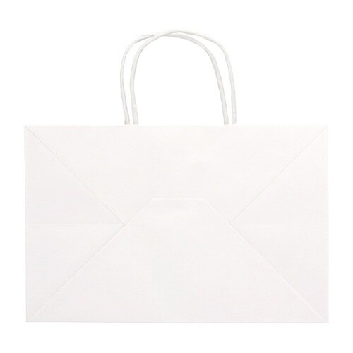 オブロングバッグ 29−19 白無地