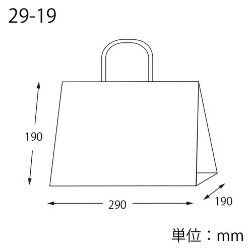 オブロングバッグ 29−19 白無地
