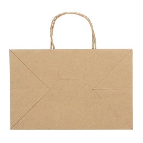 オブロングバッグ 29−19 未晒無地