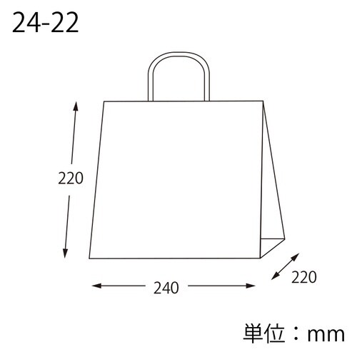 オブロングバッグ 24−22 白無地