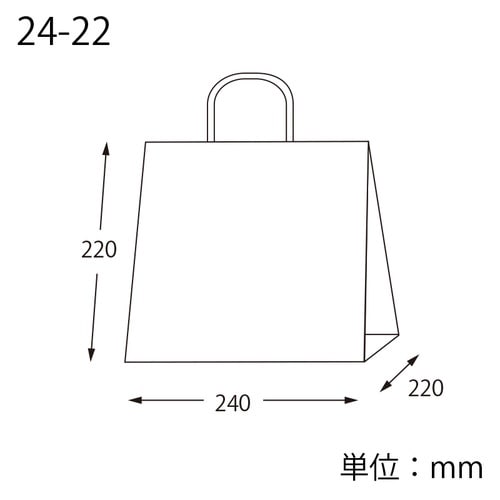 オブロングバッグ 24−22 未晒無地