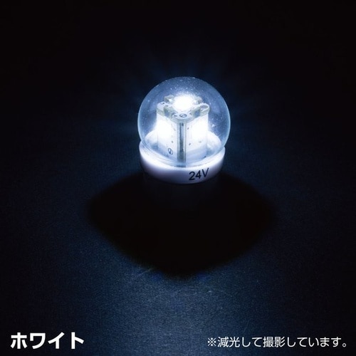LED G−18電球タイプソケット式バルブ 24V