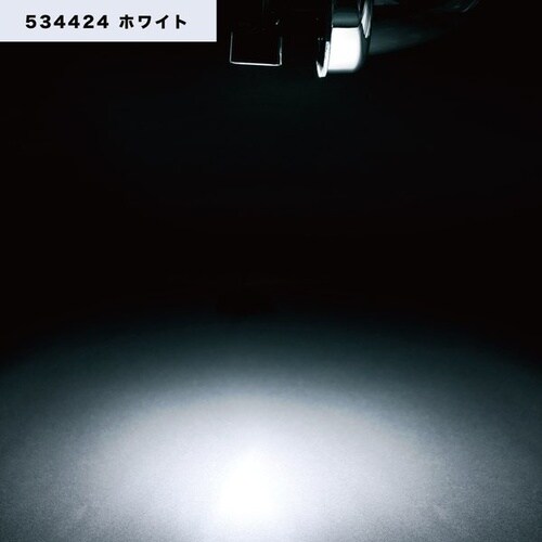 NEWハイパワーダウンライト 12/24V ホワイ