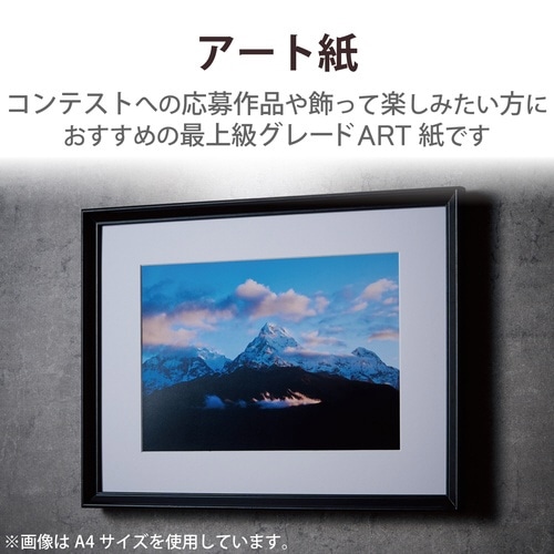 プリンター用紙 微光沢 A3 10枚