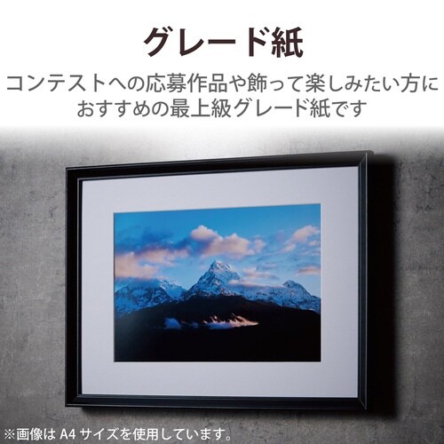 プリンター用紙 光沢 印画紙 L判 50枚