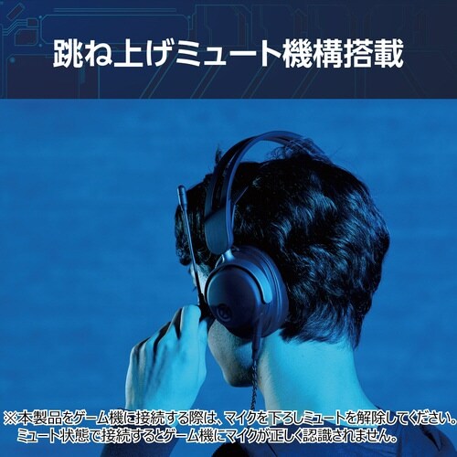 エレコムHS−VH300BK