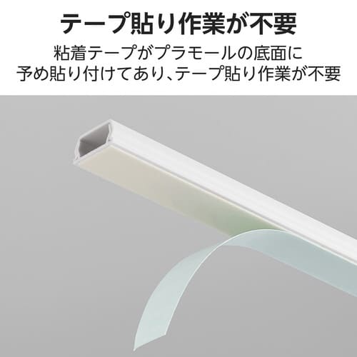 フラットモール 長さ1m 幅21mm TP 白