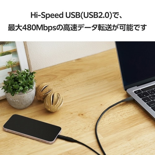 USB−C ライトニング変換アダプタ PD対応 黒