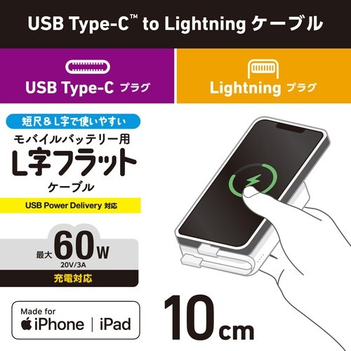 iPhone充電ケーブル フラット0.1m 白