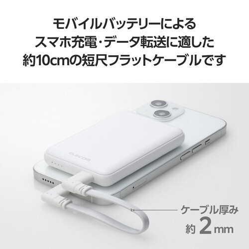 iPhone充電ケーブル フラット0.1m 白