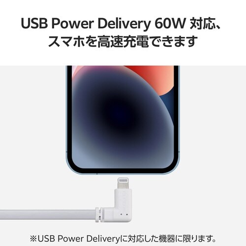iPhone充電ケーブル フラット0.1m 白