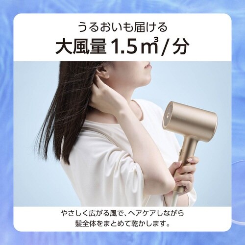 ドライヤー 大風量速乾 モイスチャー I字型 金