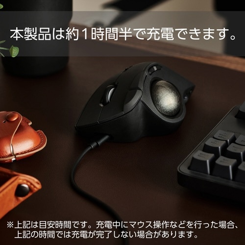 交換用バッテリー 3.7V 600mAh ブラック