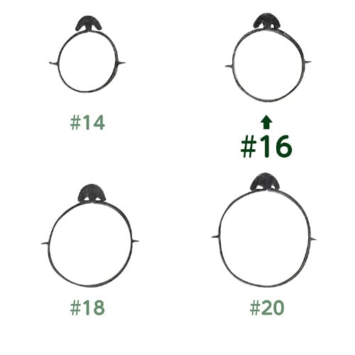 オーバンド 50g透明袋 たばね黒 #16X5