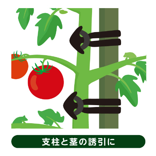 オーバンド 50g透明袋 たばね黒 #20X5