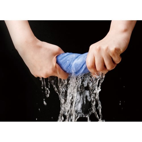 キッチンクロス すっと吸水クロス(2枚入り) 布巾