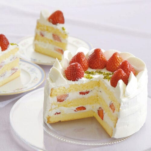 ケーキスライサースポンジケーキスライス補助具×2