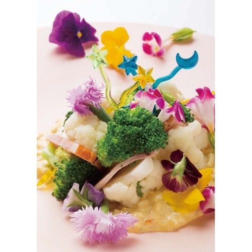 ピック ピンチョス スクリュー 12本