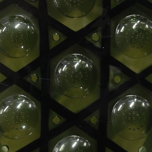 サンダル ベランダサンダル . オリーブ