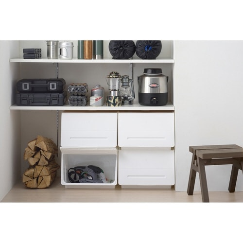 収納ケース フタ付き 前開き ビッグエル WT×2