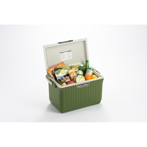 クーラーボックス 17L ホワイト×グリーン