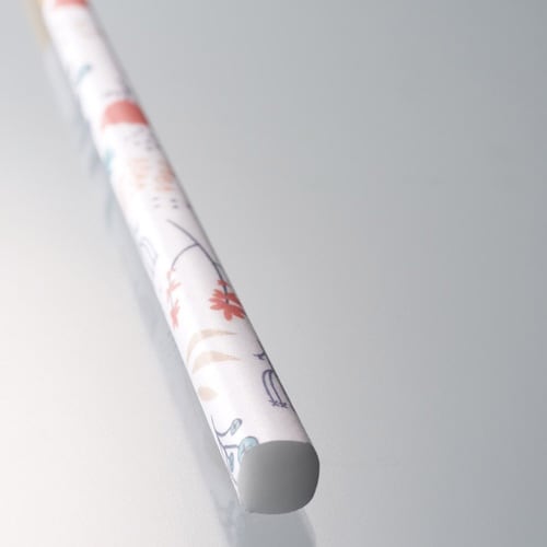 箸 23cm KAKEHASHI リース