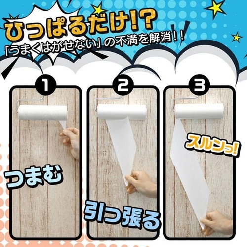 激落ちくん スペアテープのみ 粘着クリーナー