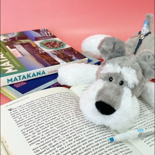 筆箱 フィギュアポーチ NICI シュナウザー×2