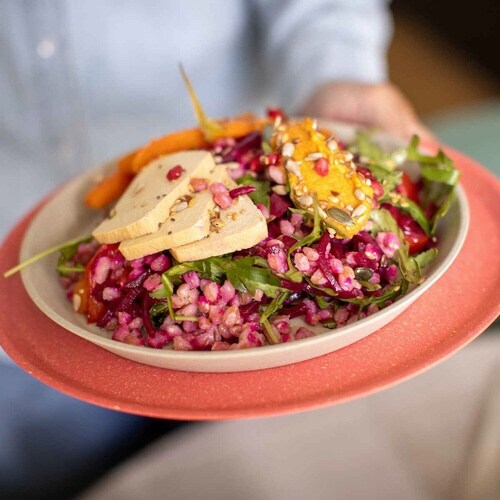 プレート 同色4枚入り 20.5cm ベージュ×2