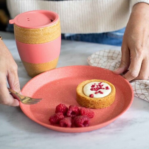 プレート 同色4枚入り 20.5cm ピンク×2