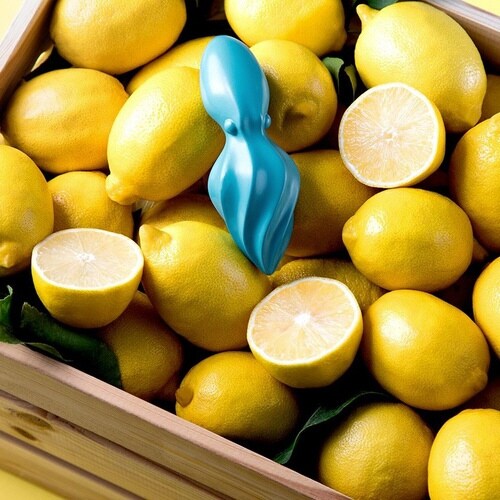 しぼり器 OTOTO オクト スクイーザー