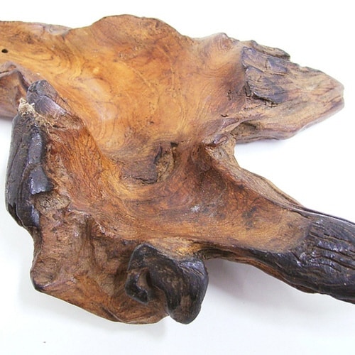 香立て チークの根っこトレイ インセンスホルダー