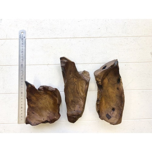 香立て チークの根っこトレイ インセンスホルダー