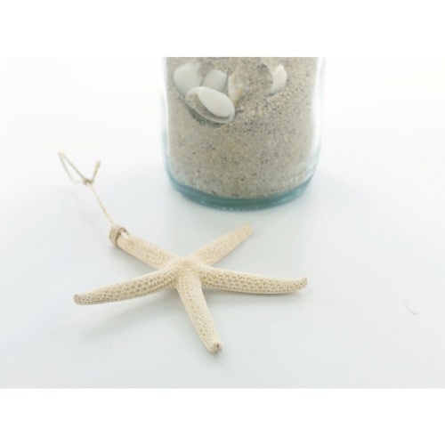 置物 シェルボトル ロング ナチュラル