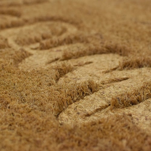 玄関マットコイヤーマット40×60にくきゅう×2