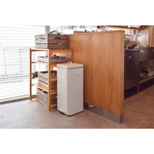 ゴミ箱 30L Galva ペダル式 ホワイト