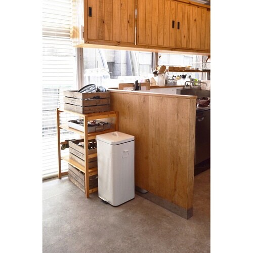 ゴミ箱 30L Galva ペダル式 ホワイト