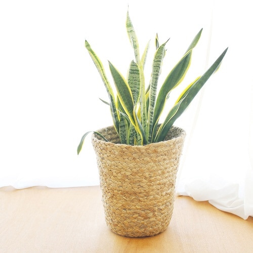 プランターカバー ジュートバスケット L